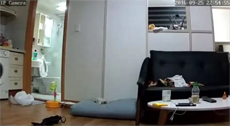 korean hacked home ip webcam favoyeurtube
