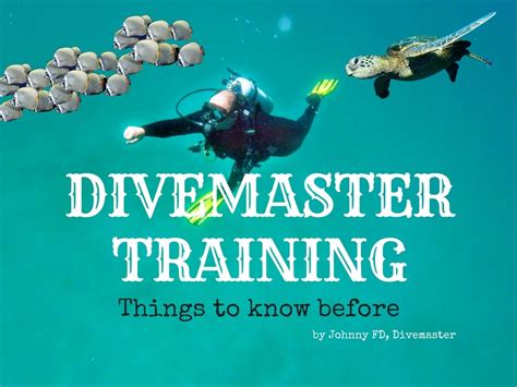 things to know divemaster scuba diving dmt johnnyfd