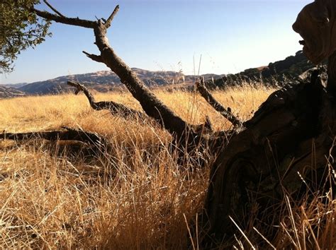 sunol ca sunol regional park photo picture image california