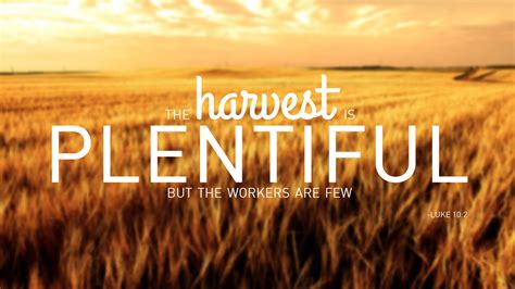harvest  plentiful   workers   cprorggh