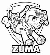 Paw Patrol Zuma sketch template