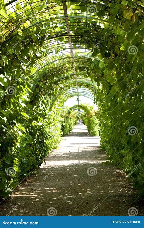 pathway  garden royalty  stock image image