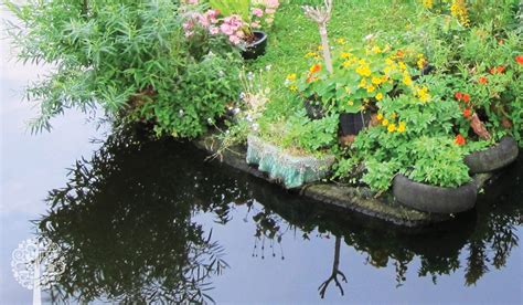 floating gardens   growing trend   improve water quality garden culture magazine