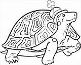 Tortoise St Patricks Coloringbay sketch template