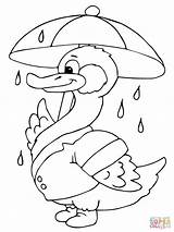 Regenschirm Ausmalbild Paraguas Lluvia Pato Coloringhome Ducks Raindrop Coloringgames ähnliche Tots Fourth Activities sketch template