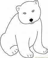 Polar Bear Coloring Little Lars Coloringpages101 Pages sketch template