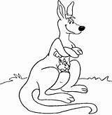 Kangguru Mewarnai Canguros Bagus Menggambar Tiernos Animales Dibawah Mengambil Sini Kamu sketch template