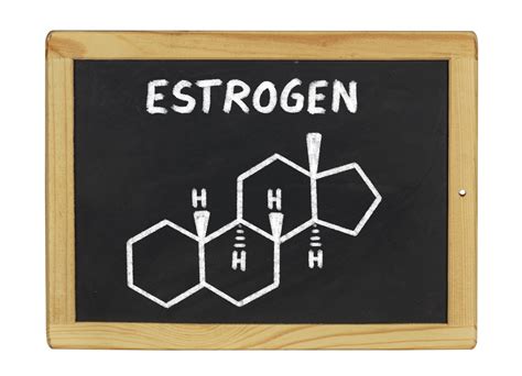 natural alternatives  estrogen naturally increase estrogen levels  gazette review