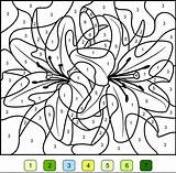 Lily Magique Chiffres Zahlen Coloriages Nummer Schilderen Magiques Volwassenen Coloritbynumbers Numéro Vogels Ausmalen Wenn Buzz2000 Crayons sketch template