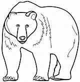 Coloring Bear Pages Preschool Polar Preschoolers Animals Printable Worksheets Getcolorings Rocks sketch template