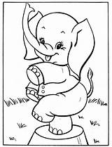 Elefante Circo Dumbo Elefantinho Variados Brincando Elefantes Novopost Divertidos sketch template