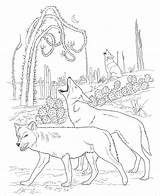 Coyote Coloring Desert Pages Coloringbay sketch template