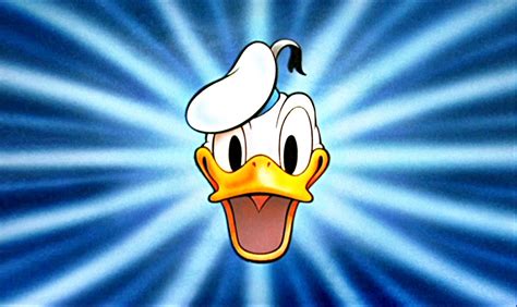 donald duck disney wiki fandom powered  wikia