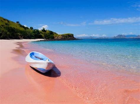 The Best Pink Sand Beaches Around The World Amazing