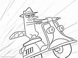 Perry Platypus Coloring Pages Ferb Phineas Print Kids Scooter Color Driving Printable Colouring Clipart Disney Amp Xcolorings Da Getdrawings 768px sketch template