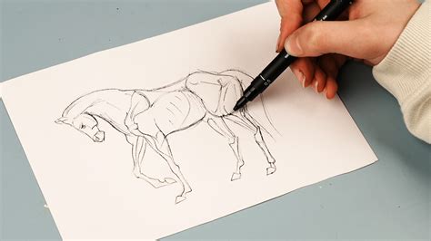 easy drawing ideas  beginners boost  drawin vrogueco