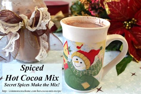 Spiced Hot Cocoa Mix Recipe Secret Spices Make The Mix