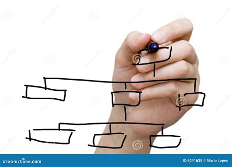 hand drawing chart  whiteboard stock photo image  manager chart