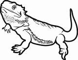 Lizard Horned sketch template