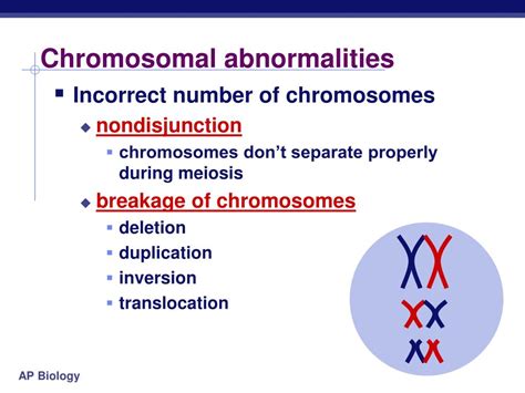 Ppt Errors Of Meiosis Chromosomal Abnormalities Powerpoint