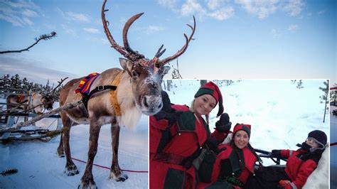 elf and happiness a dream trip to santa s lapland with all the