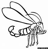 Scorpion Coloring Scorpionfly Cartoon Insect Pages Online Drawing Clipartmag sketch template
