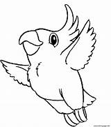 Parrot Coloring Pages Printable Bird Parrots Kids Cute 367e Flying Print Colour Tao Pet Drawings Colouring Color Clipart Animal Birds sketch template