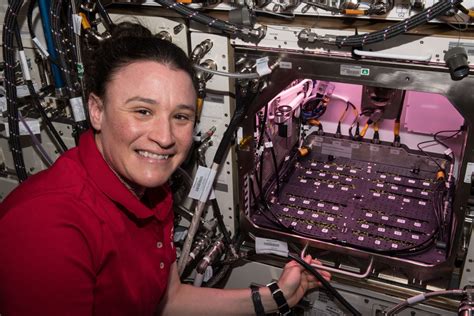 iss research  twitter catch    latest science  conducted aboard  orbiting