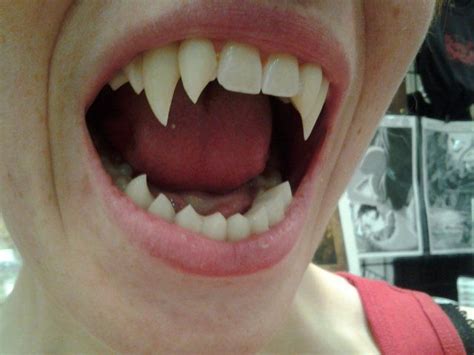 mas de  ideas increibles sobre werewolf fangs en pinterest