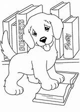 Coloring Golden Retriever Pages Puppy Printable Puppies Popular sketch template