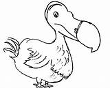 Dodo Bird Coloring Pages Kids Netart 486px 65kb sketch template