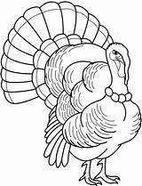 Coloring Turkey Head Getcolorings sketch template