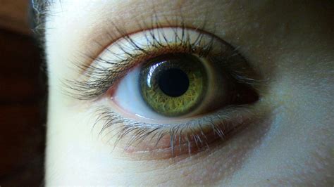 pin  yo  green eye eye color change green eyes eye color