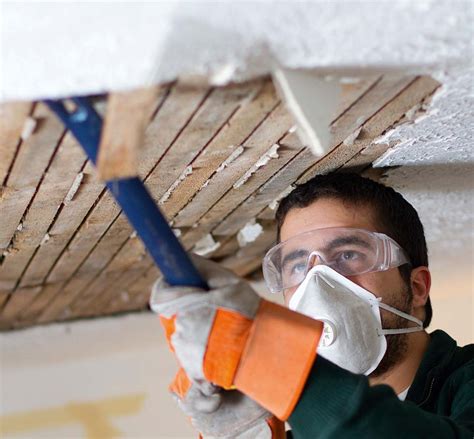 repairing  ceilings homebuilding