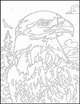 Number Color Pages Adult Coloring Dover Numbers Paint Printable Publications Bird 塗り絵 Eagle Animal Welcome ぬり絵 Book Bald Adults Books sketch template