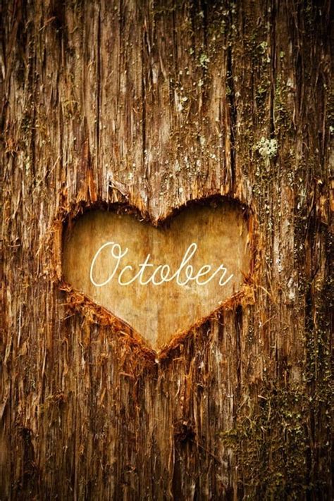 october love pictures   images  facebook tumblr