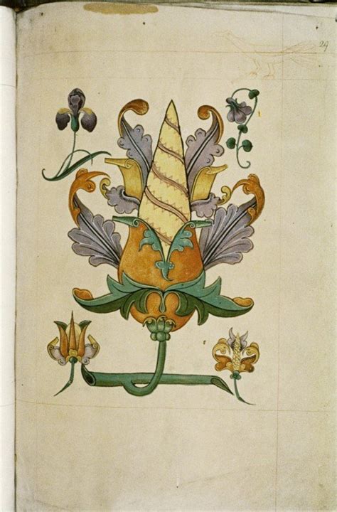 Medieval Illuminated Manuscripts Ardnasselas