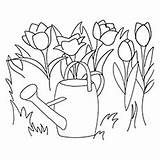 Pages Tulip Coloring Netherlands Flower Getdrawings Beautiful Flowers Getcolorings sketch template