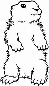 Groundhog Coloring Clipart sketch template