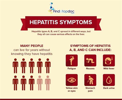 Hepatitis B Symptoms Causes Treatment And Diagnosis Findatopdoc