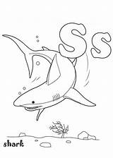 Coloring Shark Pages Baby Print Letter Color Everfreecoloring Getdrawings Getcolorings Bulkcolor sketch template