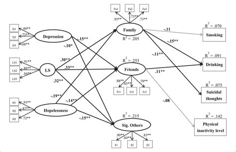 structural equation model  examine  relationships   scientific diagram