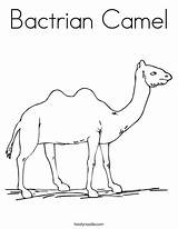 Coloring Camel Bactrian Desert Arabian Favorites Login Add sketch template