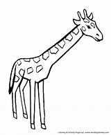 Giraffe Animals Wild Animal Coloring Kids Color Pages Drawing Easy Sheets Colour Clipart Printable Colouring Drawings Activity Cliparts Clip Cartoon sketch template