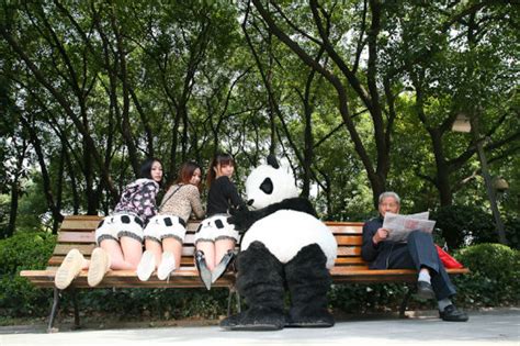 panda and panda girls wearing panda shorts in shanghai chinasmack