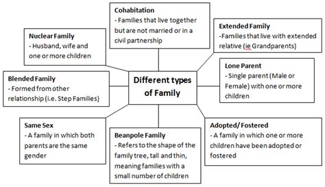 ks sociology families  households callum quigley pgce subject audit