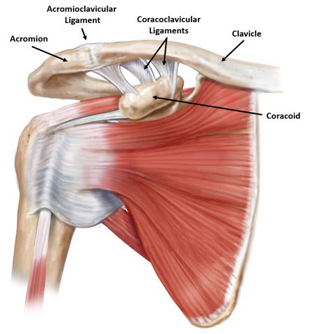 ac shoulder separation acromioclavicular ac joint pain vail denver aspen