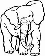Anipedia Elefantes sketch template