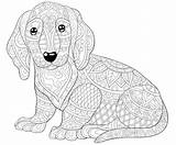 Hund 30seconds Relaxing Artillustration Netter Malbuch Erwachsenes Entspannung Seite Teens Cane Cani sketch template