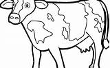 Coloring Pages Cow Beef Calf Printable Cattle Getdrawings Getcolorings sketch template